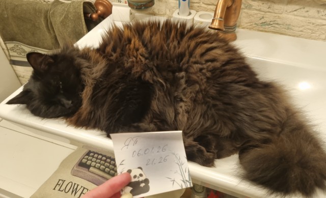 Девушки, всё еще ждете принца? Это ваше будущее.