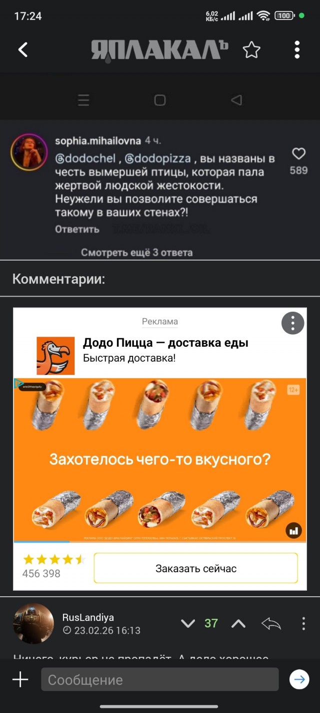 «Кто укроет собаку — пойдёт за собакой»