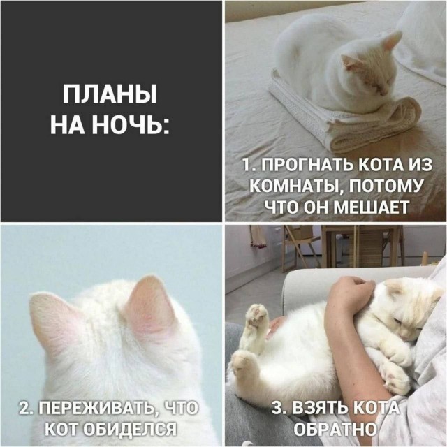 Картинки для деградации 148 (разной степени свежести)