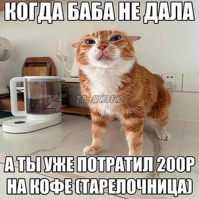 Немного картинок на ночь