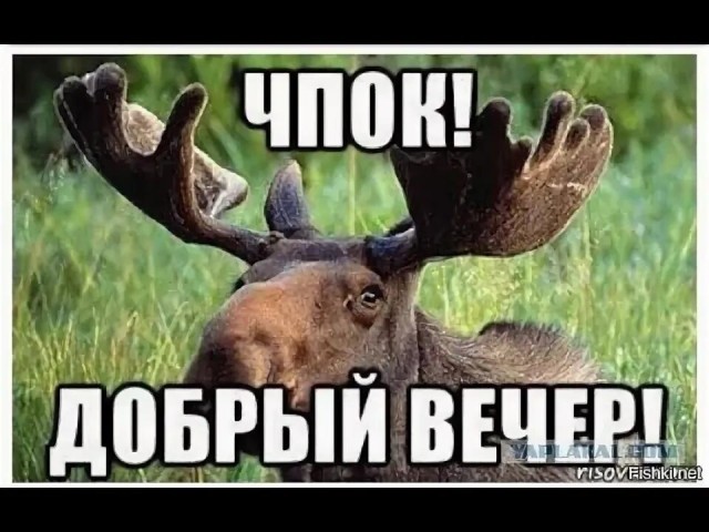 Пятничное разоблачение года.