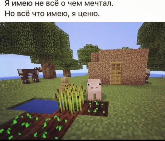 Среды картинки