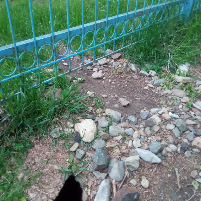 Все бегут