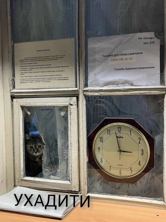 Так себе картинки 22.06.26