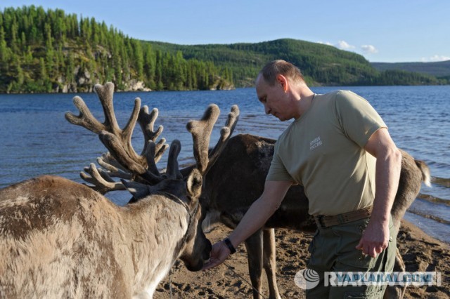 Путин поймал щуку весом 21 кг