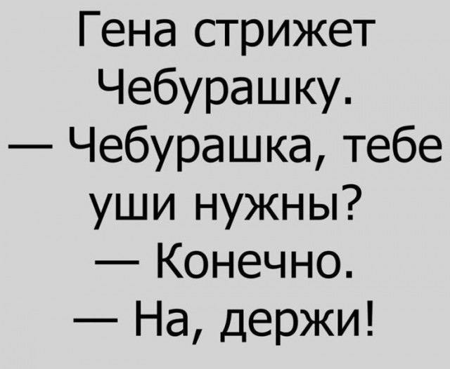Картинки для деградации 250 (разной степени свежести)