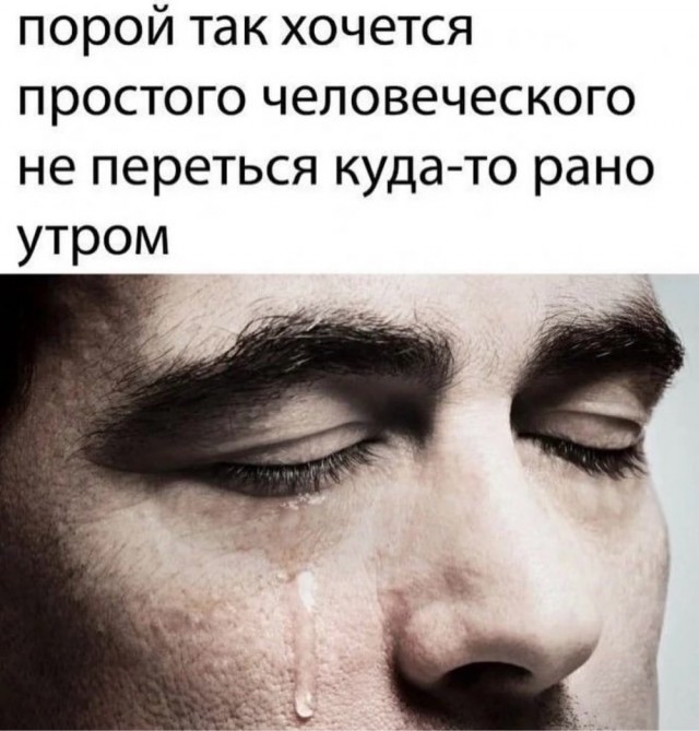 Веселое настроение в картинках 14.08.26