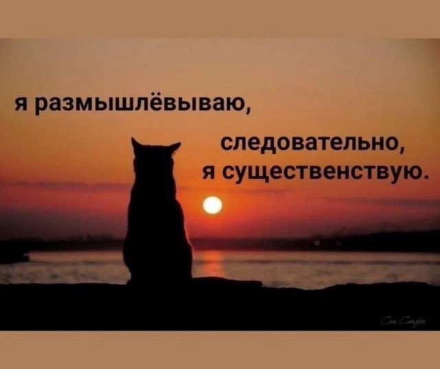 Контент для невзыскательной аудитории
