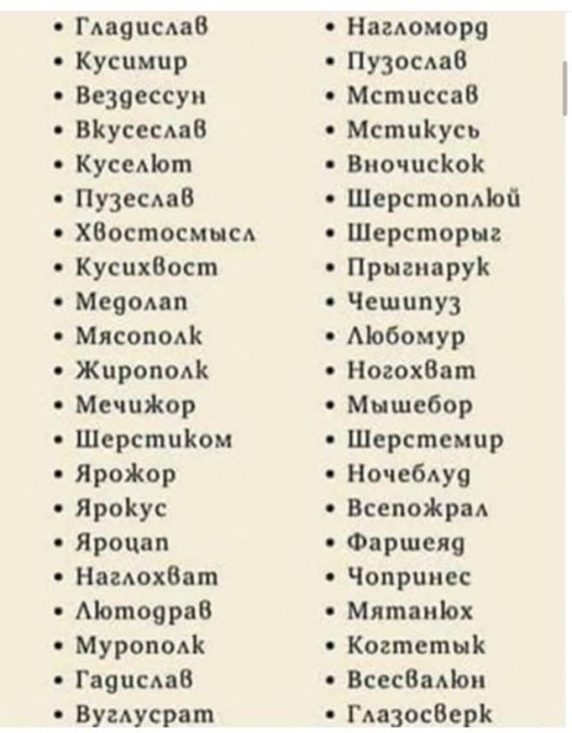 Знакомьтесь, его зовут Чепуха