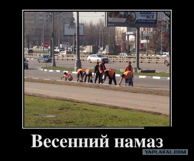 Смешные комментарии из социальных сетей (часть 5)