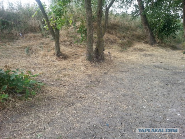 Как провести день, или сказка наяву!