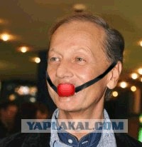 Михаилу Задорнову простят хамство за пощечину  ТВ