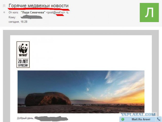Твиттер Медведева взломали
