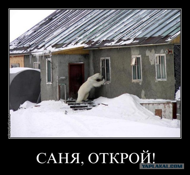 Саня, пусти!