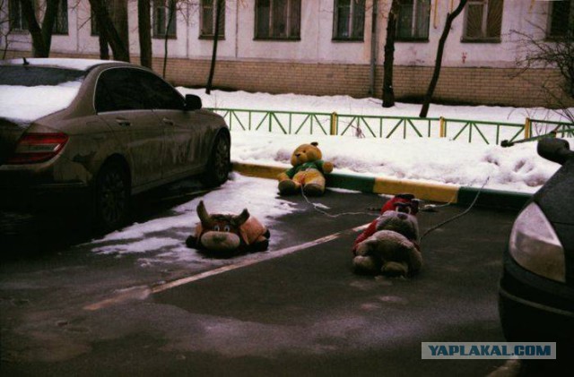 41 веселая картинка