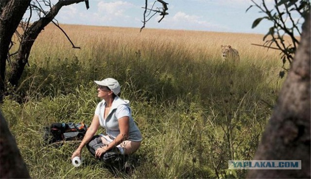 Картинки с просторов на четверг