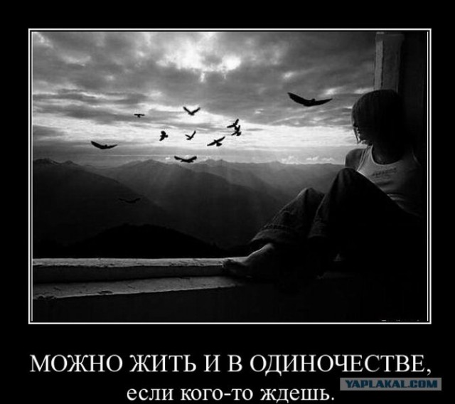 Работа мечты