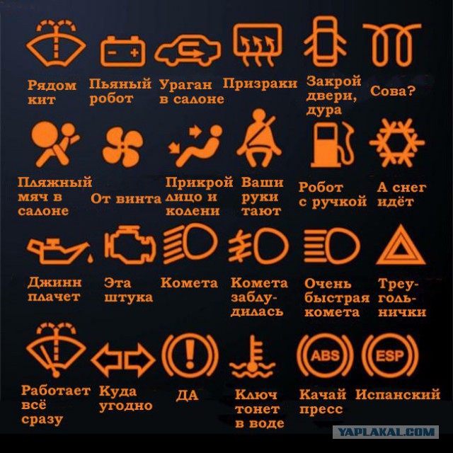 50 прикольных картинок из сети на понедельник