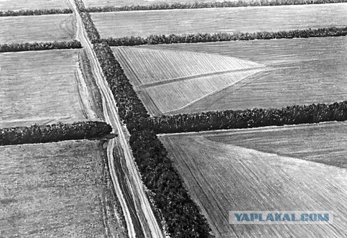 Защитные государственные лесные полосы