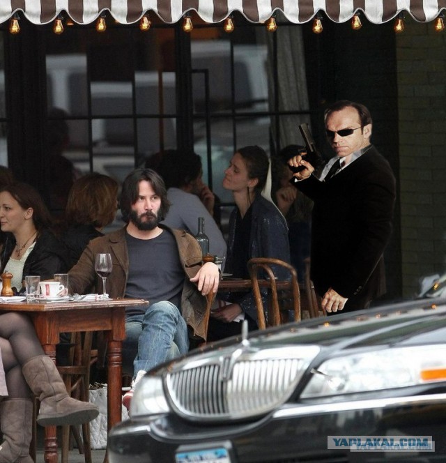 Не желаете ли пожабить