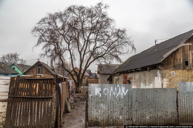 Как живут цыгане Украины