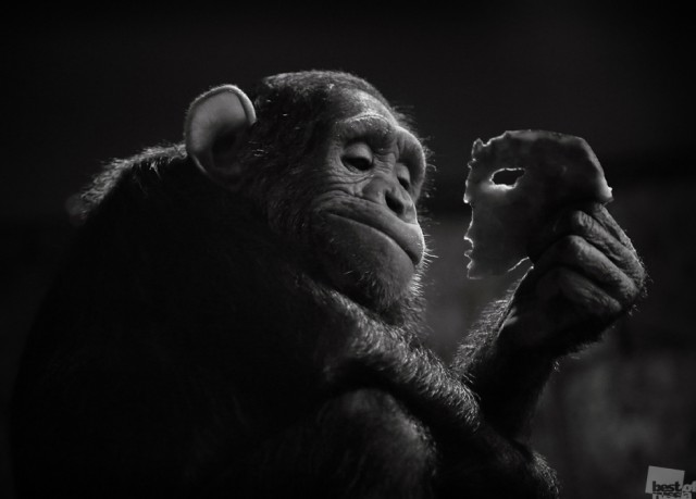 Фотографии победителей премии Best of Russia — 2015