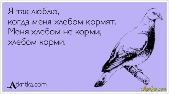 Абсурдный юмор ч.15