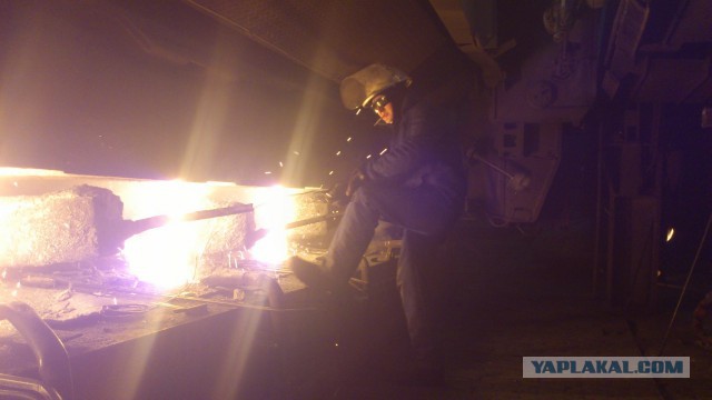 Трудовой народ в лицах