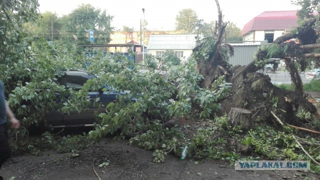 Ураган в Омске