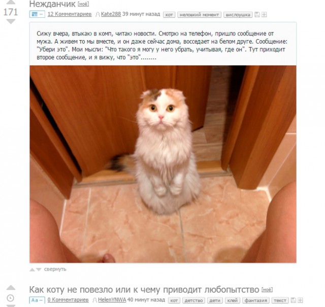 Картинки разные из сети