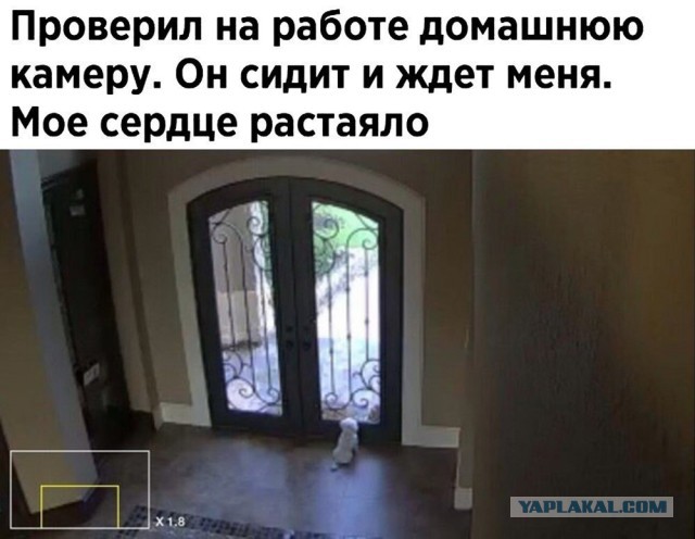 Чёрненькая деградация к выходным. Ура!