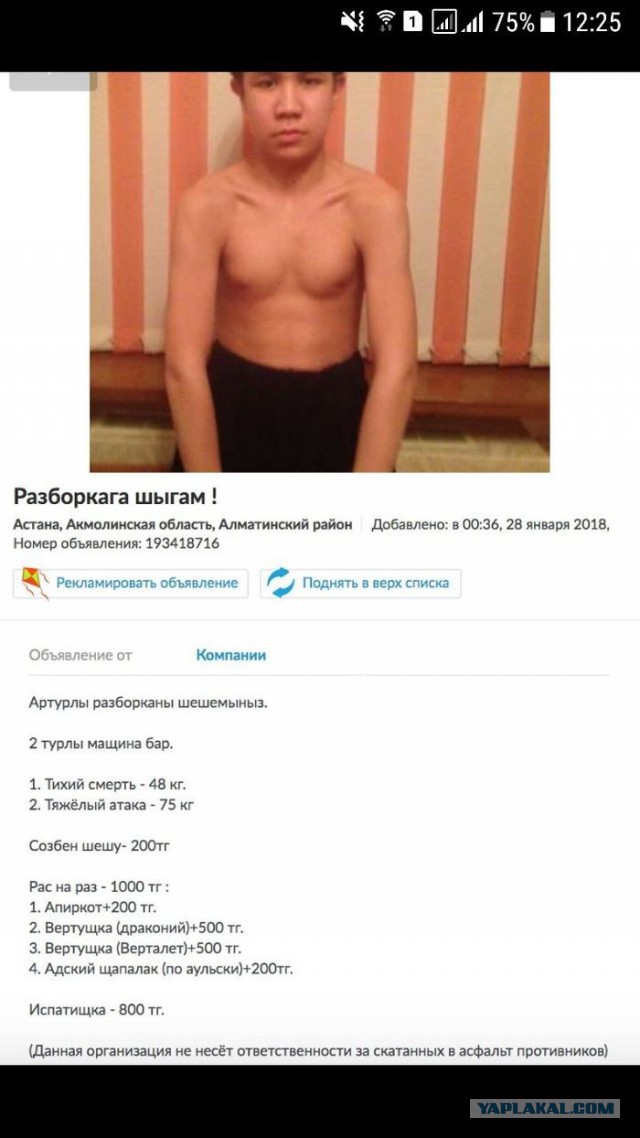 10-летний казахстанец вызвал на бой сыновей Рамзана Кадырова