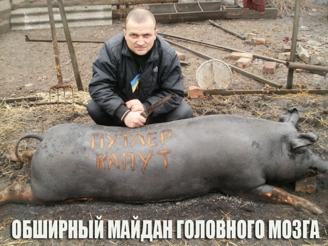 Чудики из социальных сетей