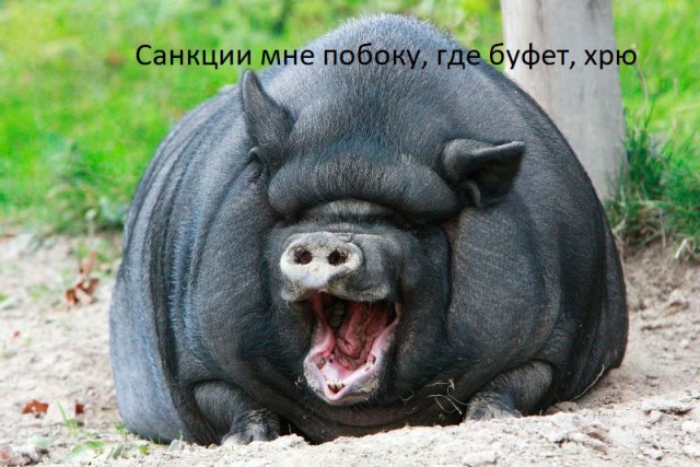 Игорь Чайка: «Санкции мне побоку»