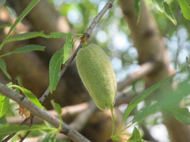 Я лучше куплю, говорят они