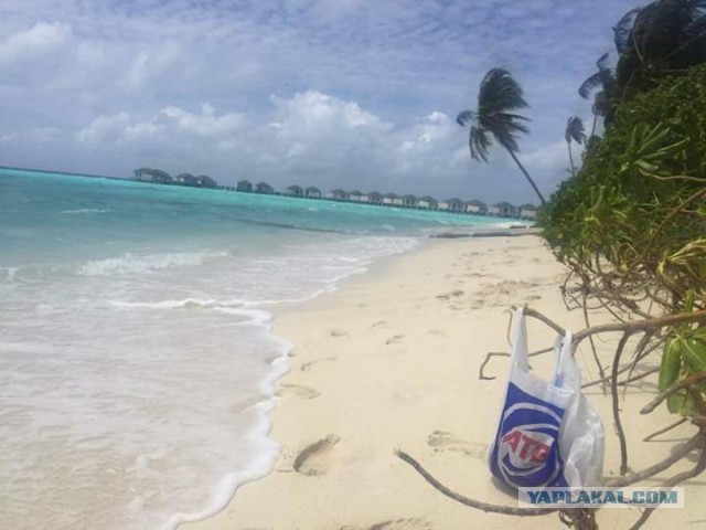 Фото президента Киргизии с женой в США.