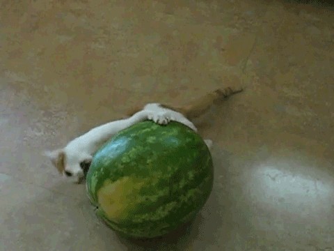 Ребятам о зверятах.