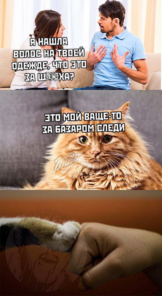 Громкие заявления