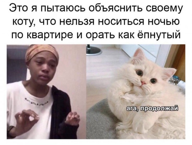 Немного картинок для настроения 28.11.19
