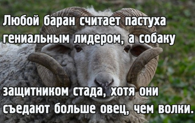 Ура! Мне подключили интенет! (БАЯНЫ) Ч.2