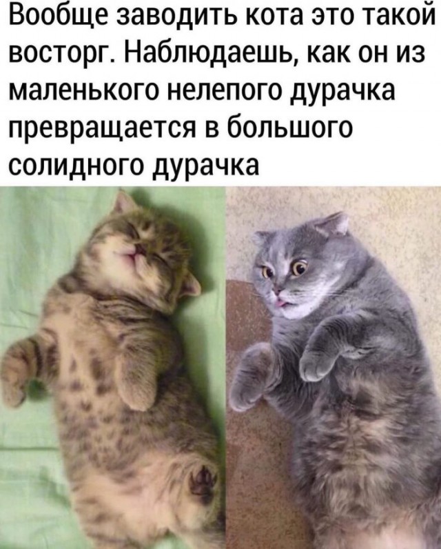 Немного картинок для настроения 24.03.20