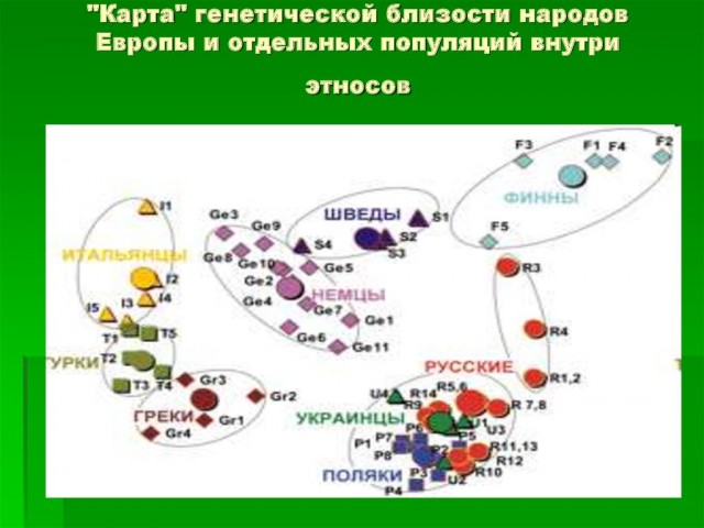Раскрыта тайна происхождения русского народа