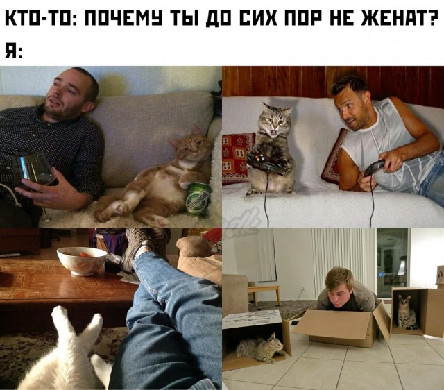 Подборка картинок с юмором