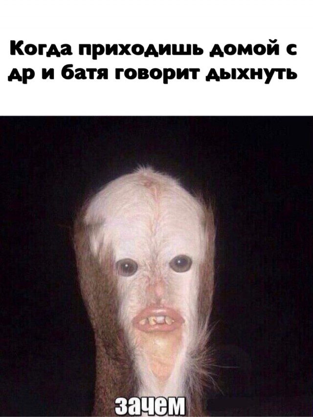 Эссквотч: как безумные таксидермисты создают йети из оленьих задниц