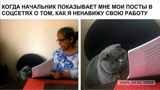 Юмор в картинках 09.09.20