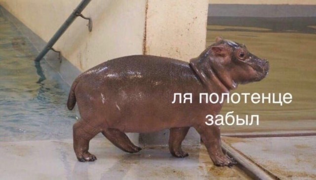 Юмор в картинках 8.10.20