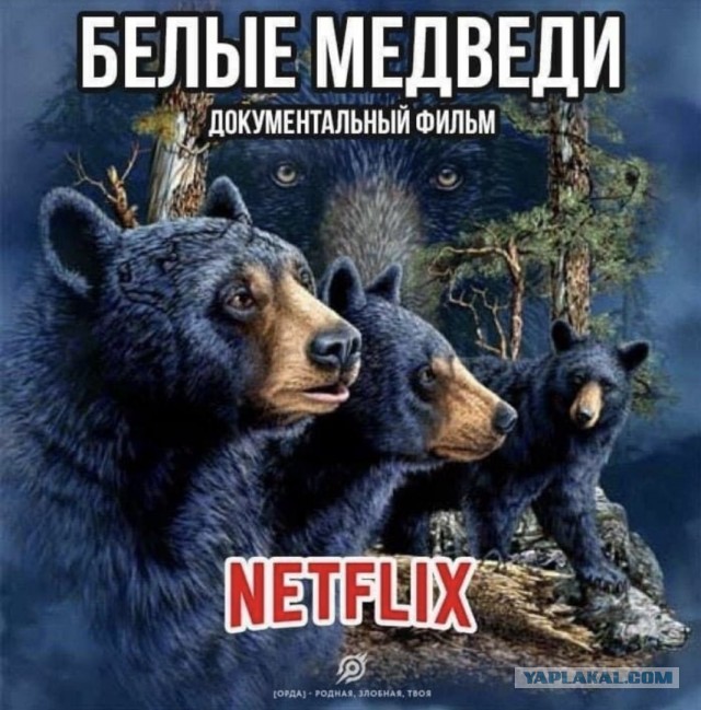 Netflix рулит