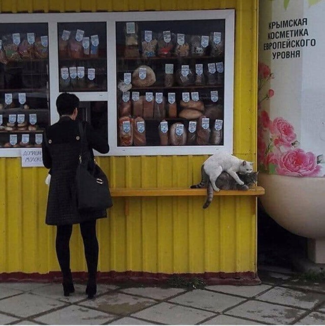 Приколы и чернушка!