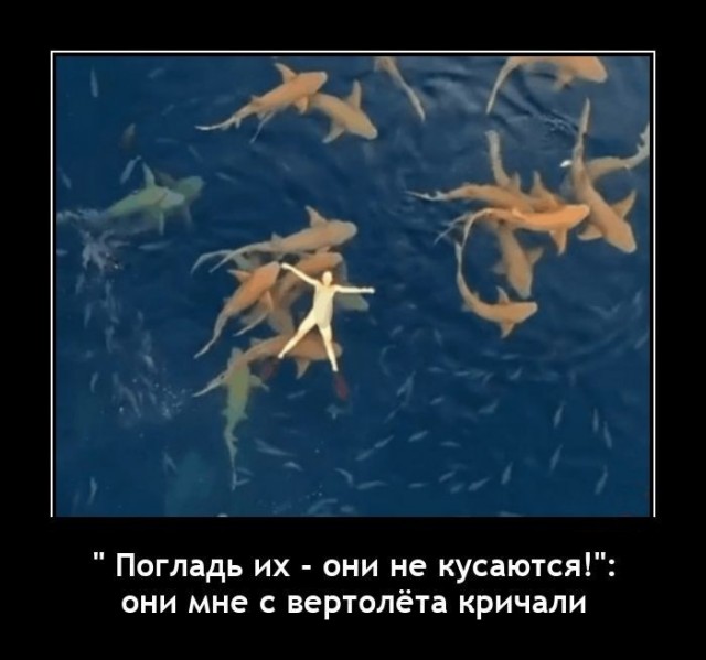 Баянисто-небаянистый юмор 23.08.21