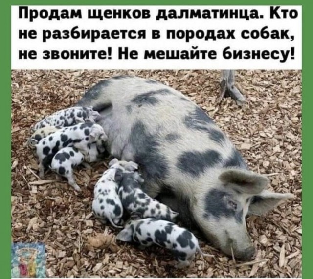 Картинки и мемы для настроения 09.09.2021